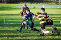 Monaghan v Letterkenny November 10th 2018 (20)